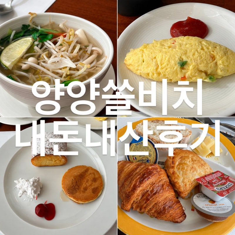 양양 쏠비치 조식 뷔페 솔직후기 (셰프스키친 가격·시간·수영장 꿀팁)