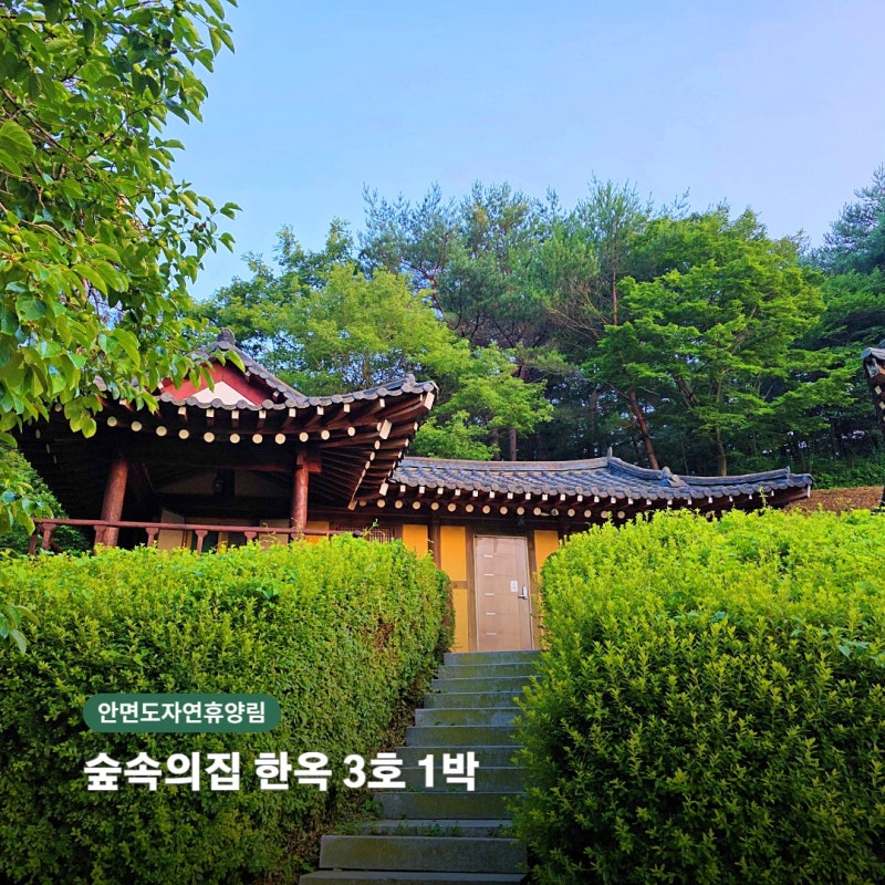안면도자연휴양림 숙소 후기｜숲속의집 한옥 3호에서 보낸 태안 1박