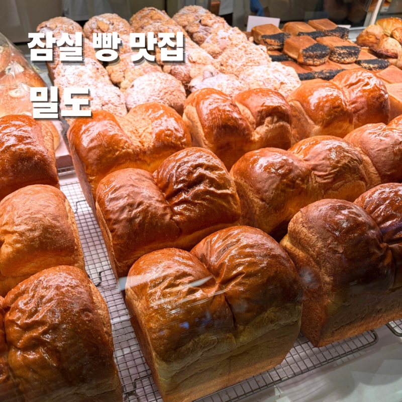 밀도 식빵 종류 추천 잠실 롯데백화점 빵 맛집
