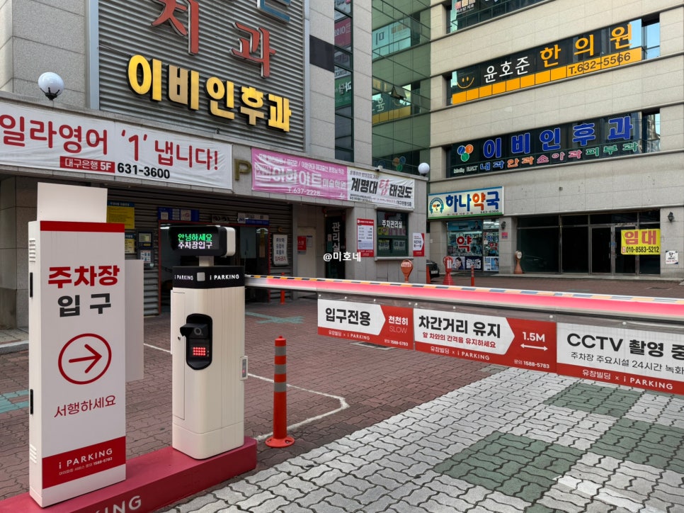 거북이동네 대구월성점 사진 5