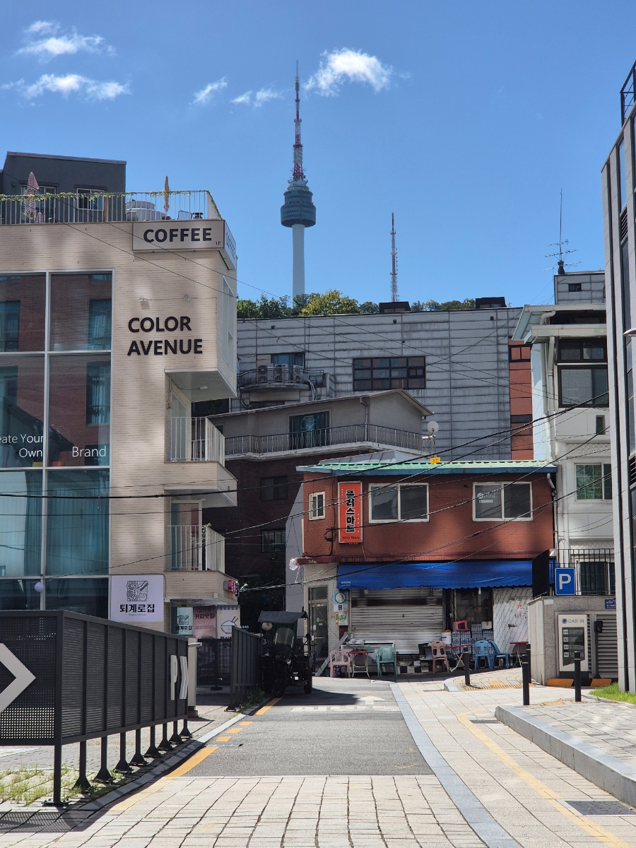 몽트 사진 2