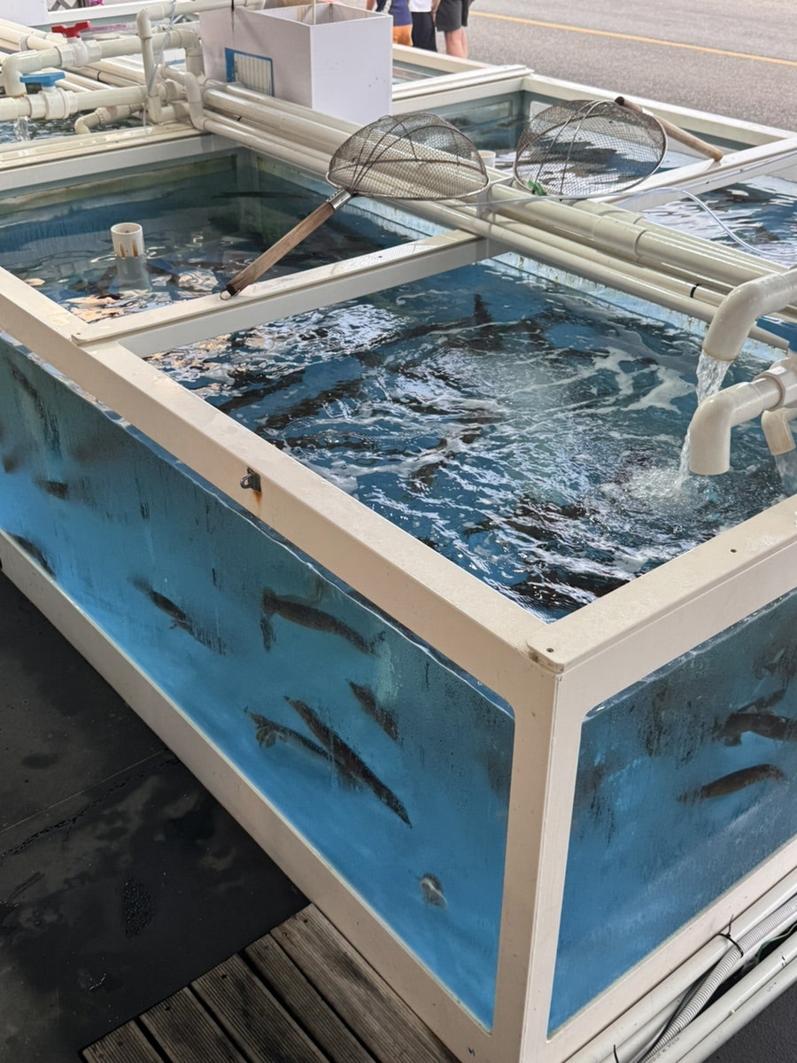 사천항주문진물회 사진 3