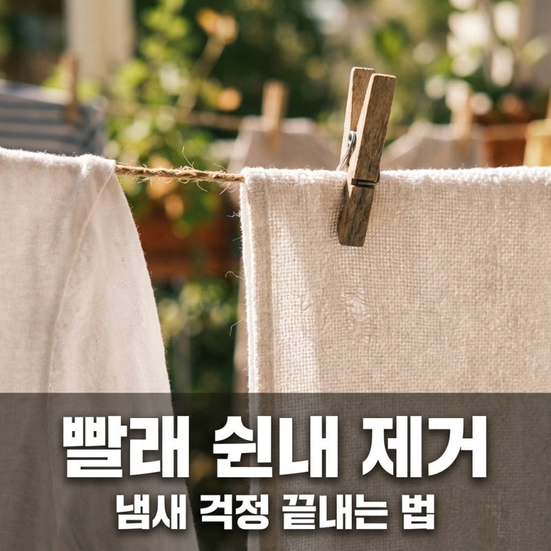 빨래 쉰내 제거 방법 5가지: 식초 과탄산소다 완벽 활용법