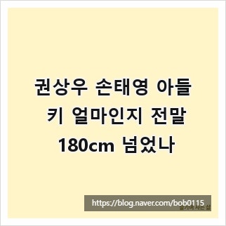 권상우 손태영 아들 키 얼마인지 전말 180cm 넘었나