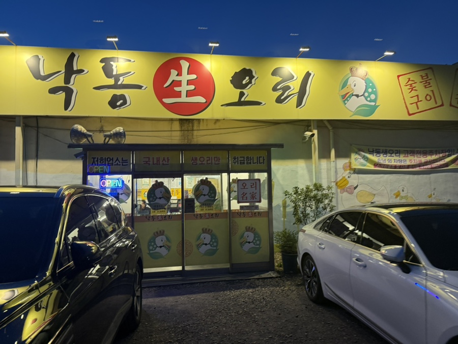 낙동생오리 사진 3