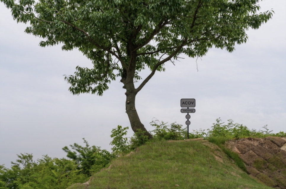 어코브 세종 사진 3