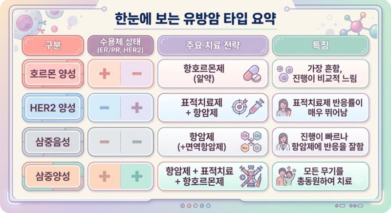 유방암 타입 4가지 한눈에 정리 (호르몬, HER2, 삼중음성, 삼중양성)