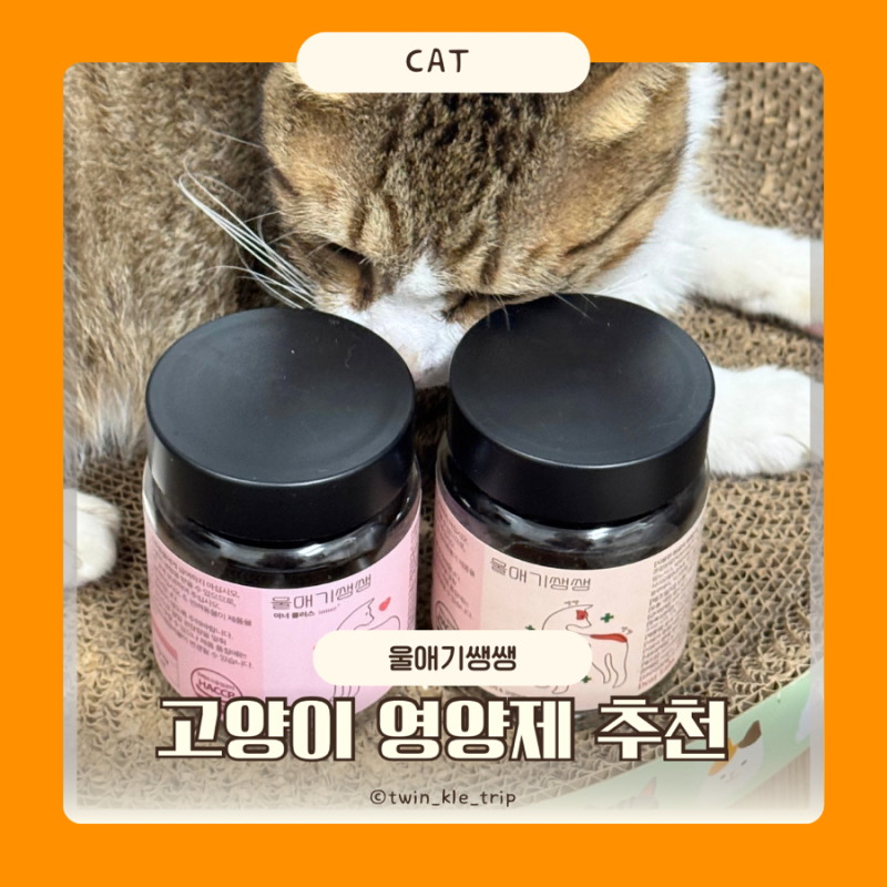울애기쌩쌩 이너플러스 고양이영양제 건강 루틴 반려동물영양제 후기