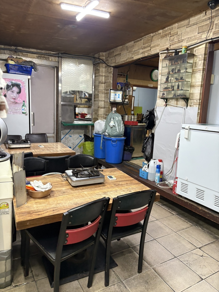 토박이 사진 5