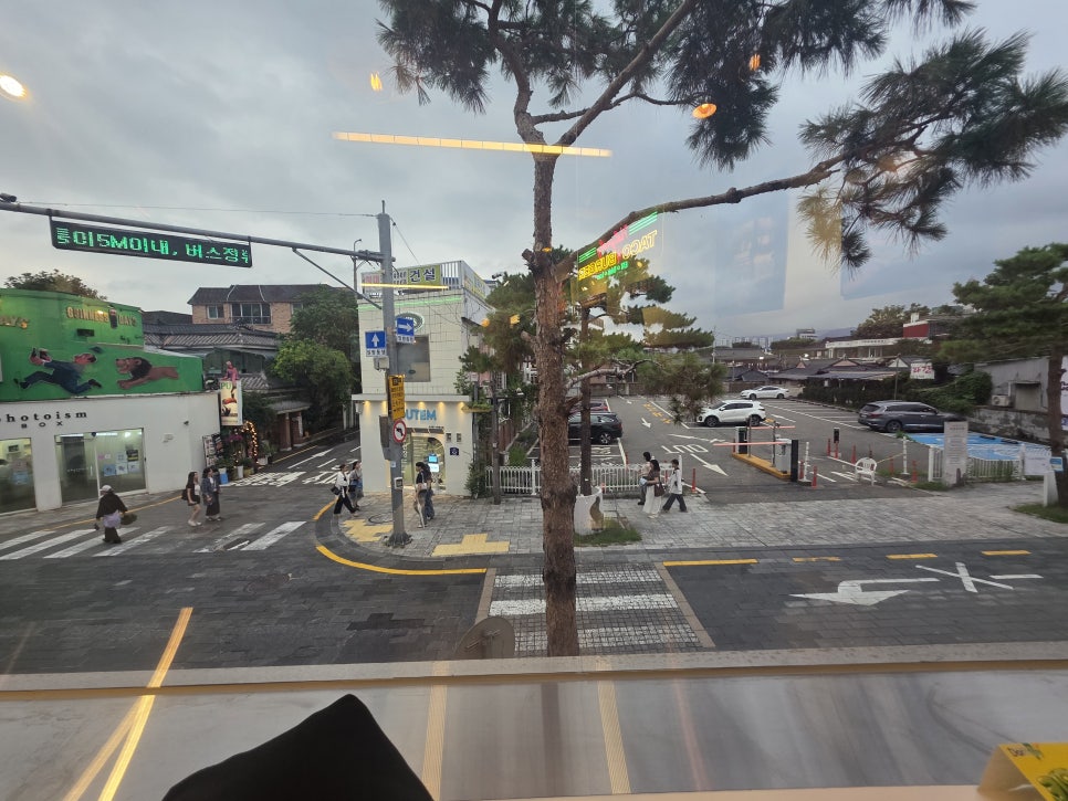 홀리몰리타코빌 사진 6