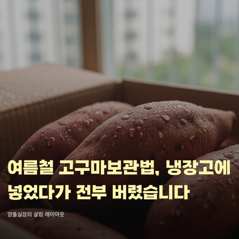 여름철 고구마 보관법, 냉장고에 넣었다가 전부 버렸습니다