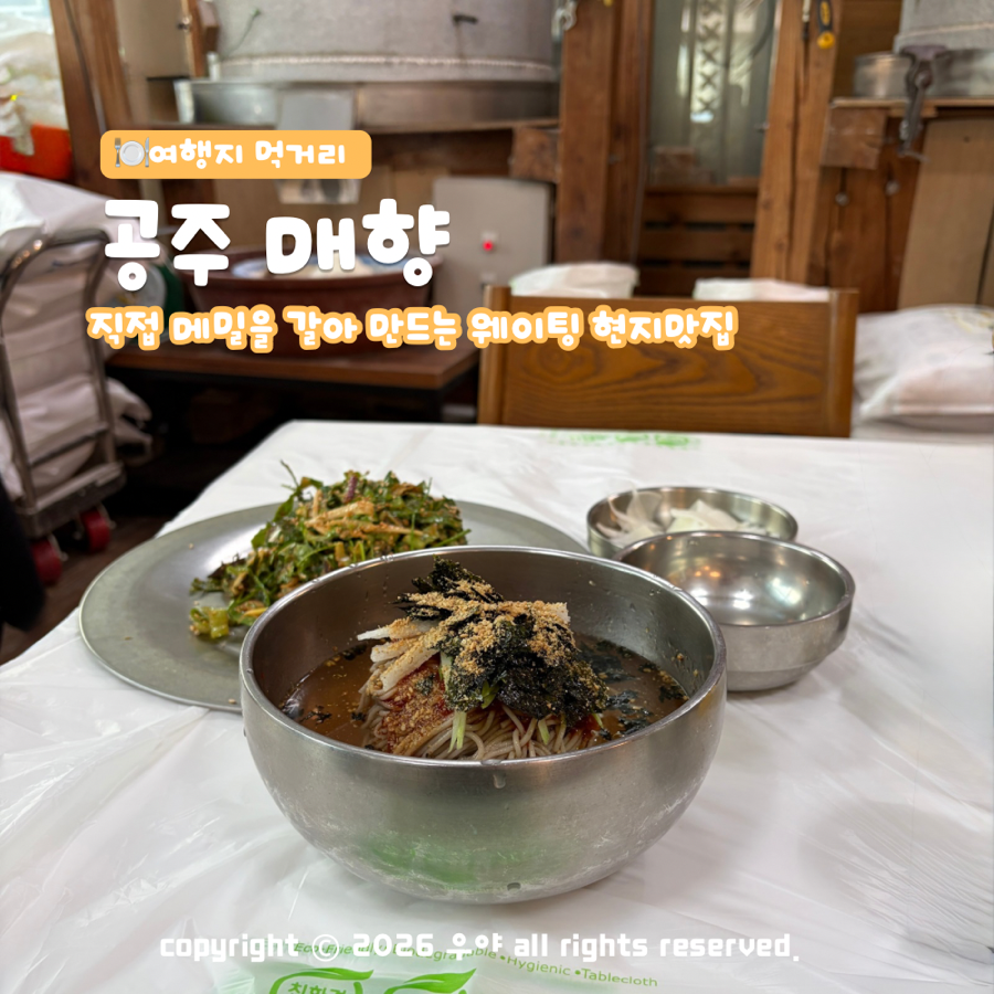 매향 사진 1