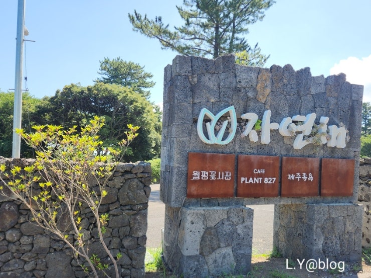 플랜트827 사진 1