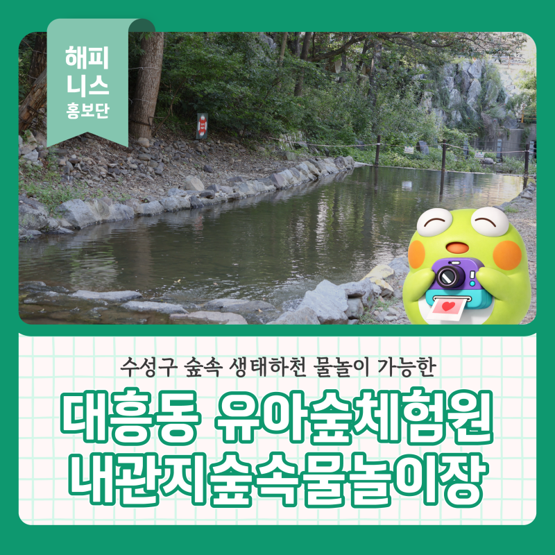 대구 수성구 대흥동 유아숲체험원 내관지 숲 속 생태하천 물놀이도 가능해요