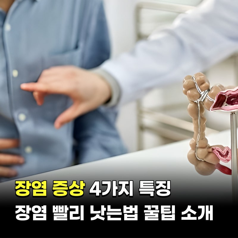 장염증상 4가지 특징과 장염 빨리 낫는법 꿀팁 소개