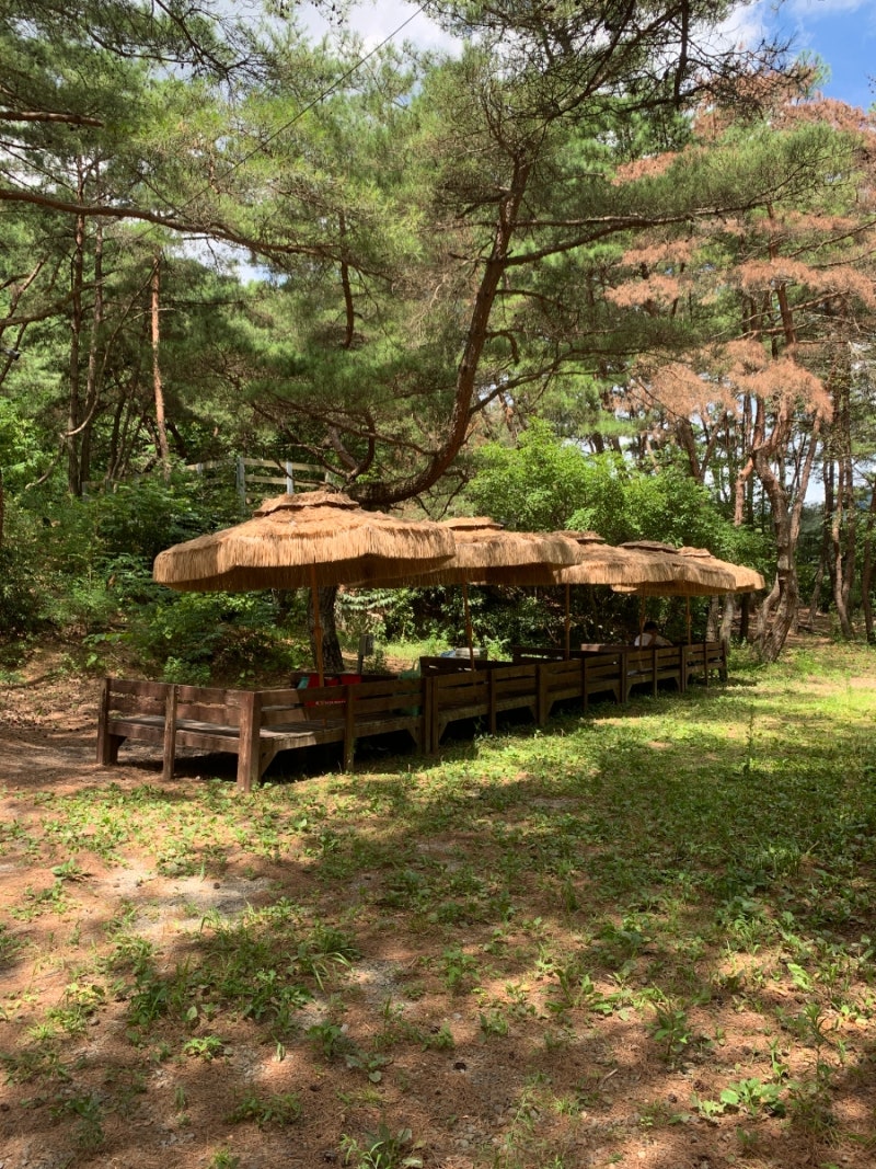 [대구/군위맛집] 동산계곡식당 :: 대구 팔공산 계곡식당 맛집, 대구 근교 계곡식당 아기랑