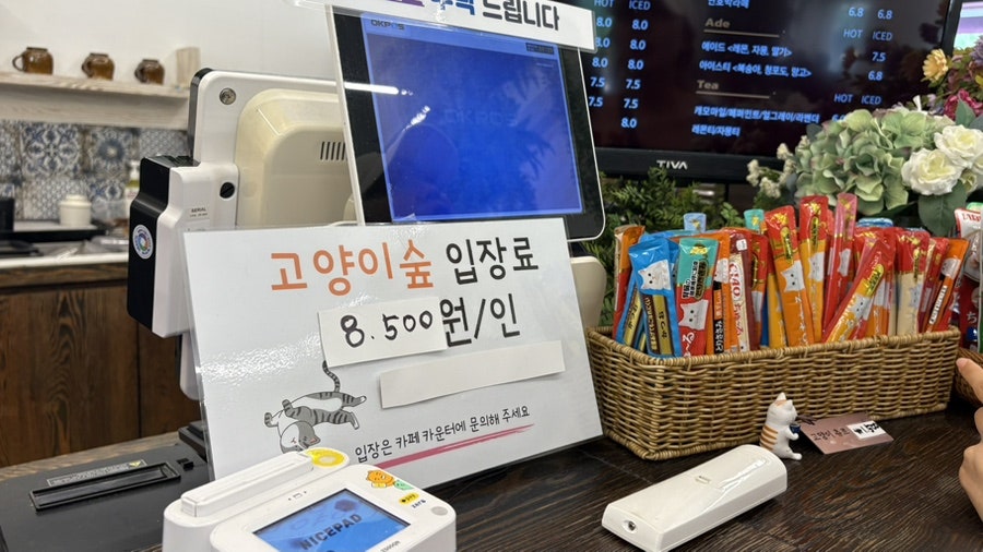 토르첼로 사진 5