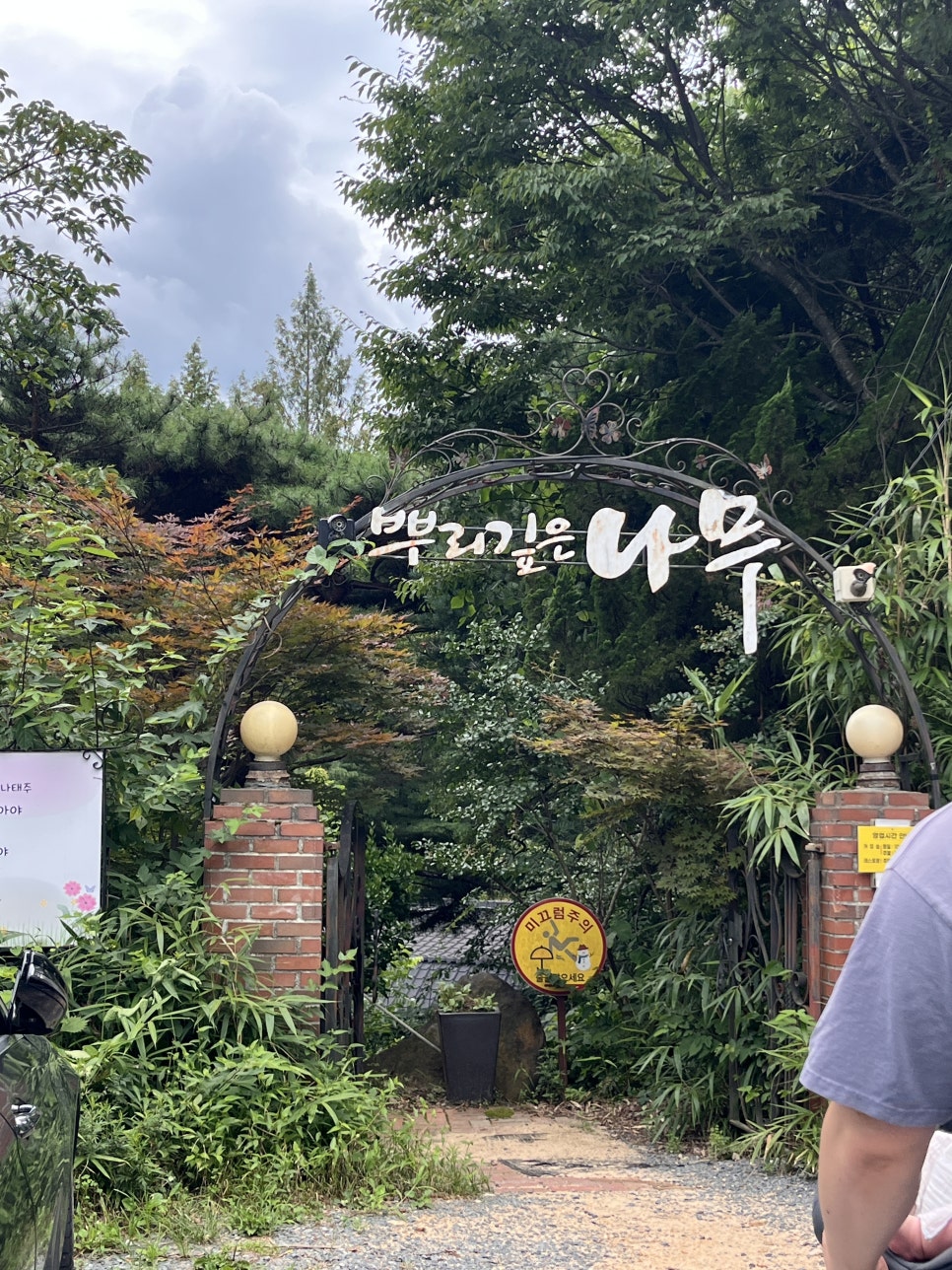뿌리깊은나무 사진 2