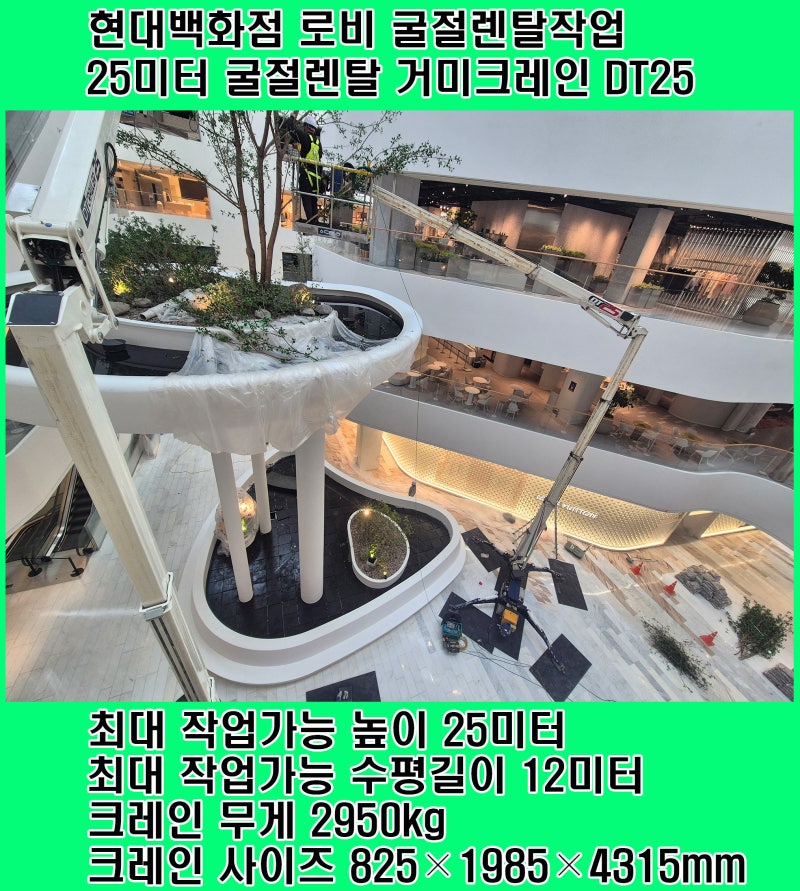 여의도 현대백화점 로비 조경작업 굴절렌탈 DT25 거미크레인 작업사진 입니다