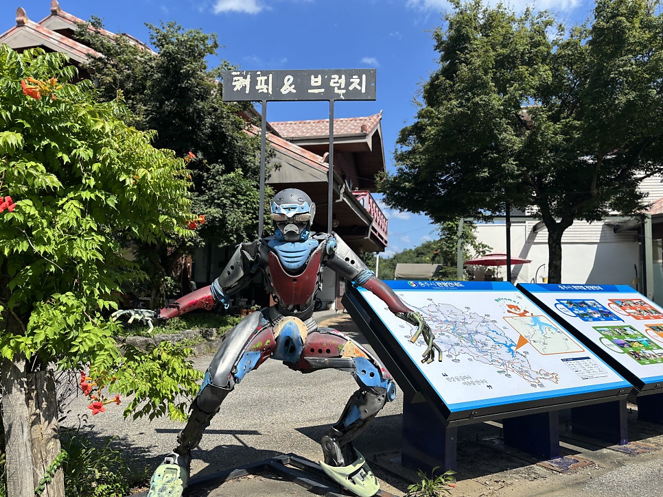 게으른악어 사진 2
