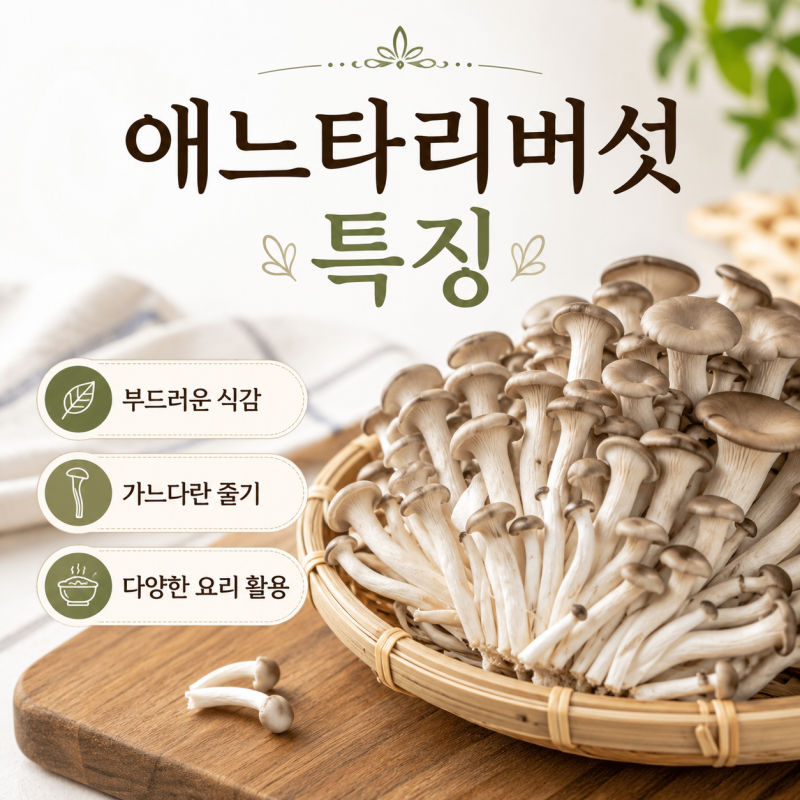 애느타리버섯 효능 칼로리 먹는 보관 냉장 볶는법 물기 고르는법