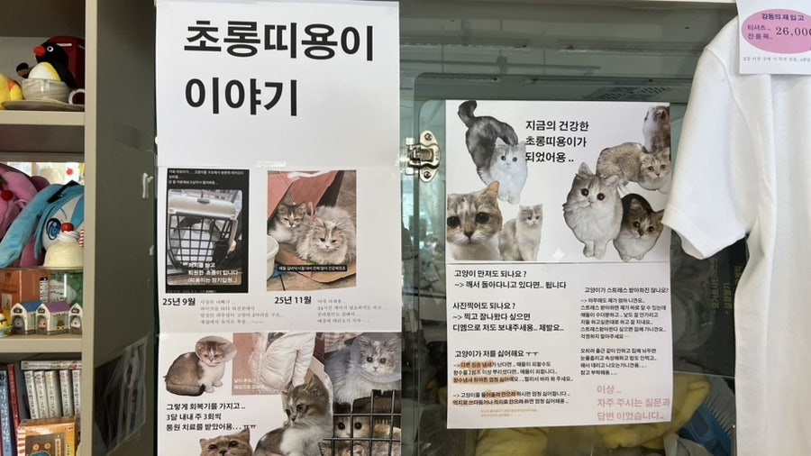젤리포에 중앙말랑작전본부 사진 4