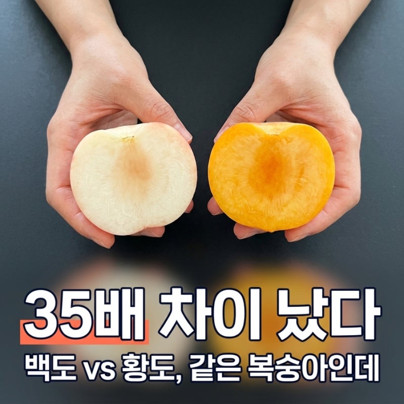 복숭아 효능 및 부작용, 백도랑 황도가 다릅니다