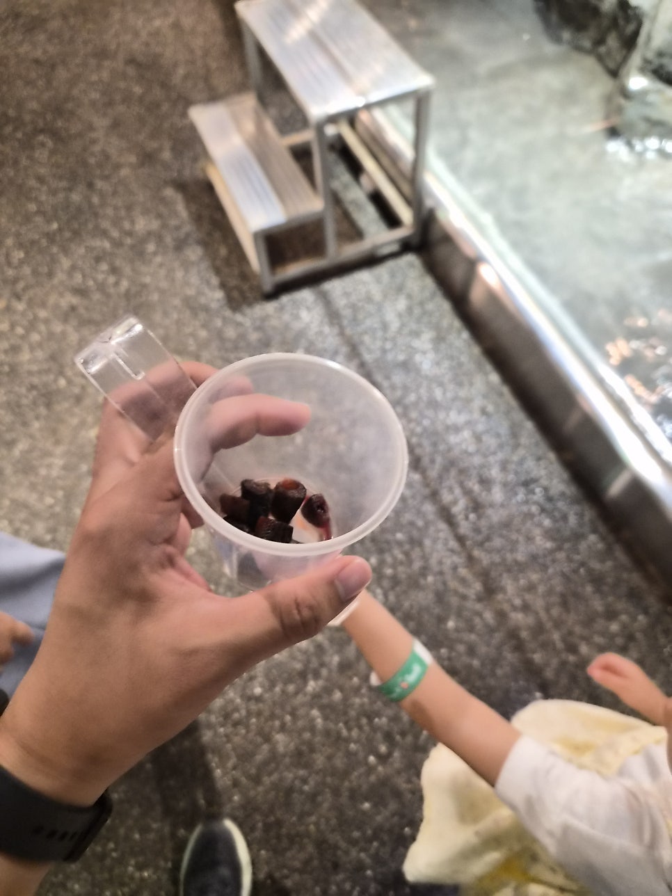 신비동물원 사진 6