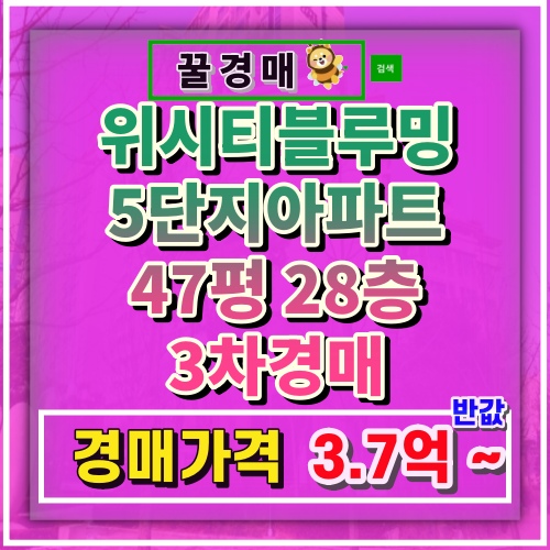 블루밍 사진 2