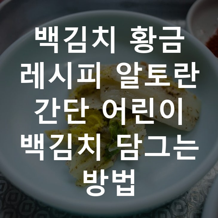 백김치 황금 레시피 알토란 간단 어린이 백김치 담그는 방법