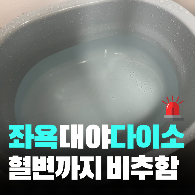 다이소 좌욕 대야 사용 후기와 항문외과에서 말린 이유