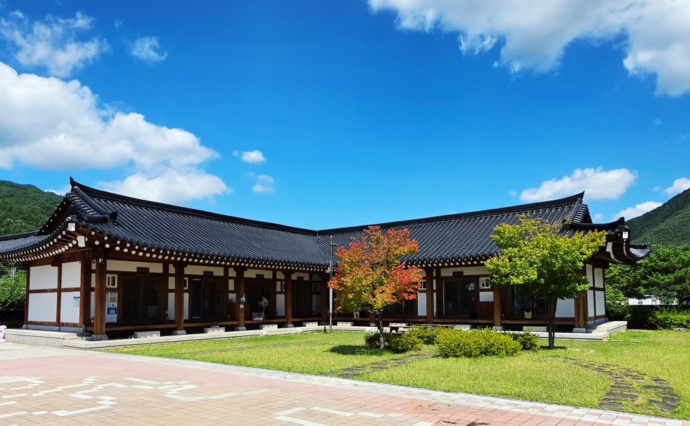 왕산 사진 6