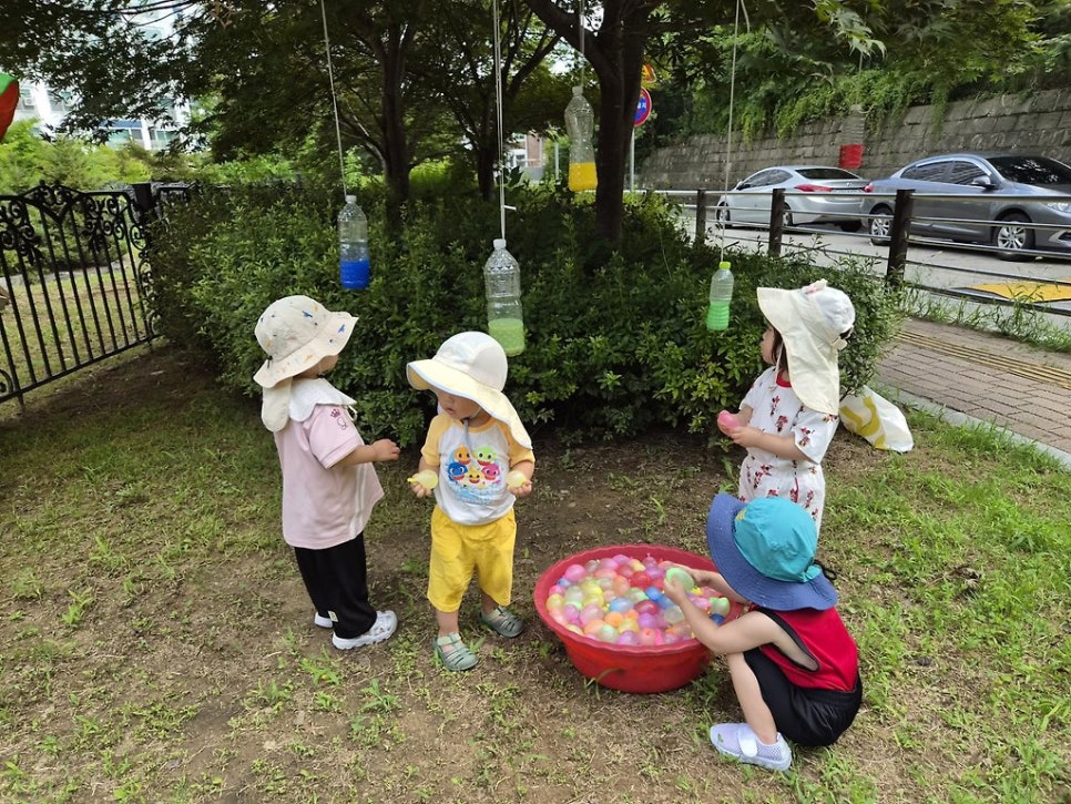 예그리나 사진 2