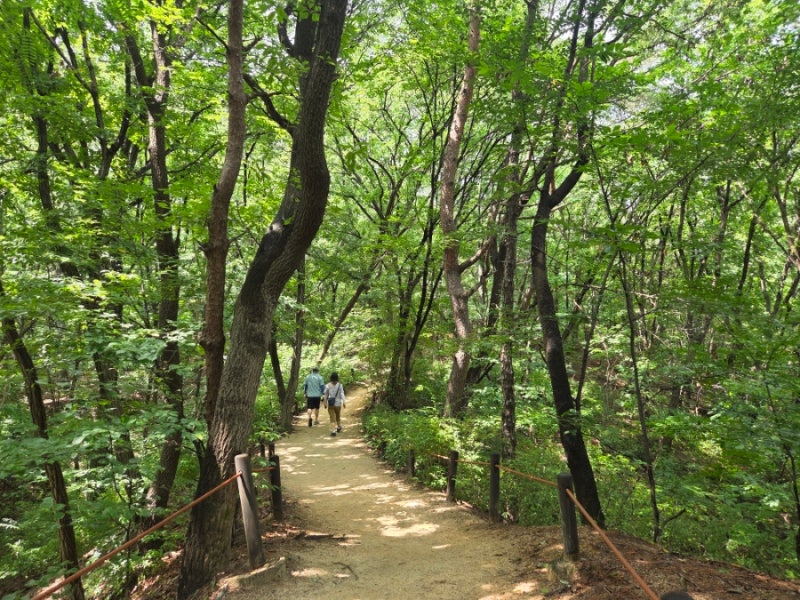 북한산둘레길1코스,2코스,3코스 중탈 여름 덥네