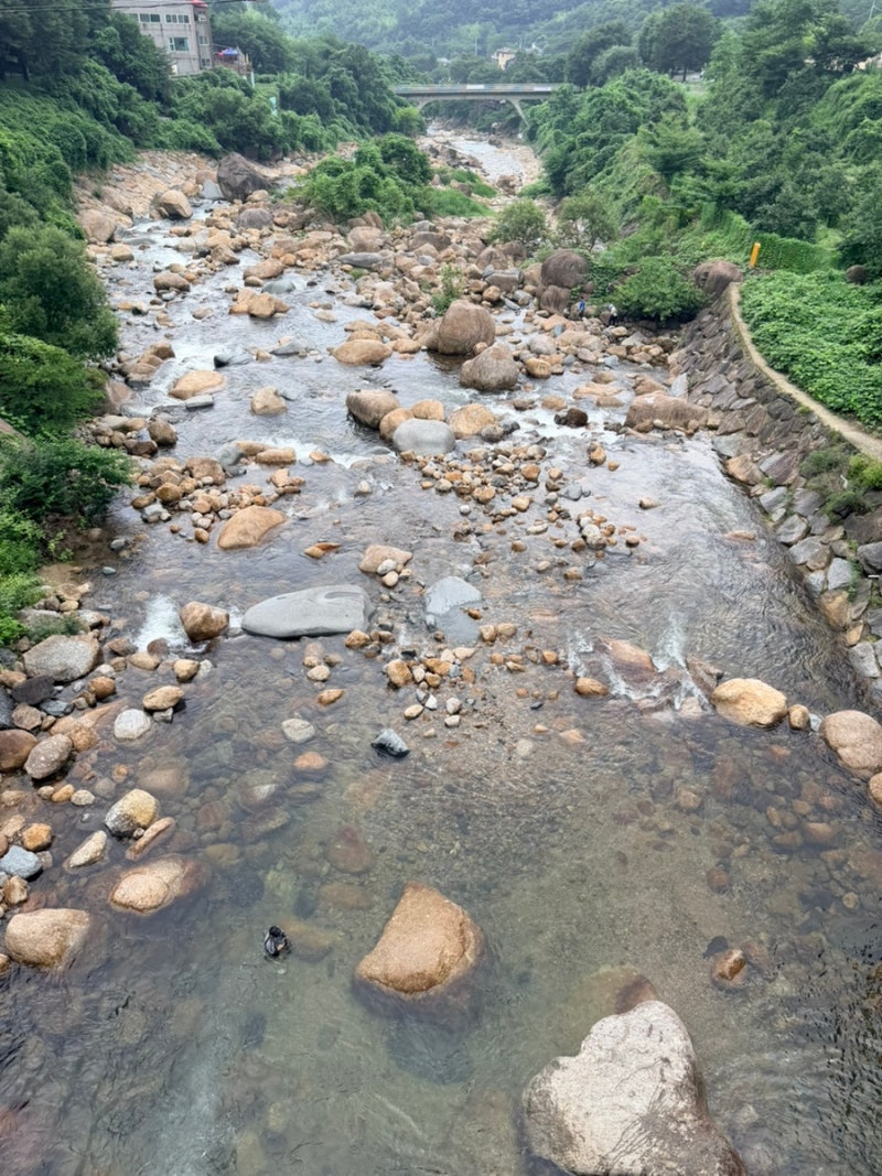 산청 지리산계곡, 중산리계곡, 지리산뷰캐슬펜션