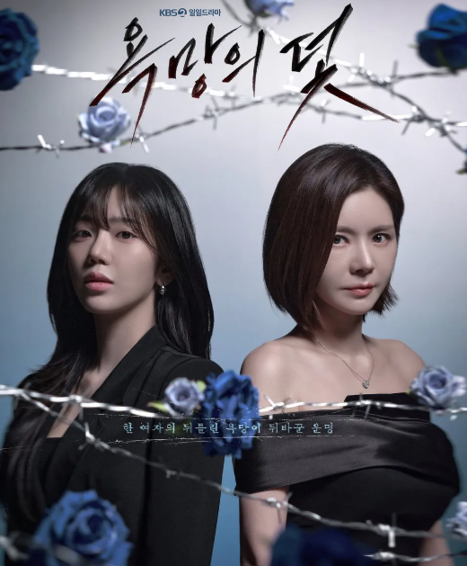 붉은진주 후속작, <b>욕망의 덫</b> 기본정보..<b>장서희</b> 복귀작 (KBS 새일일 드....