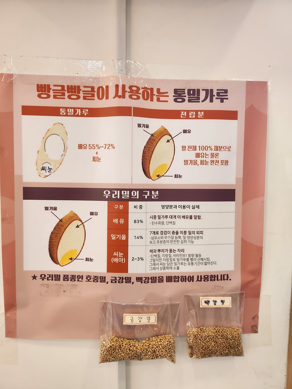 빵글빵글 사진 4