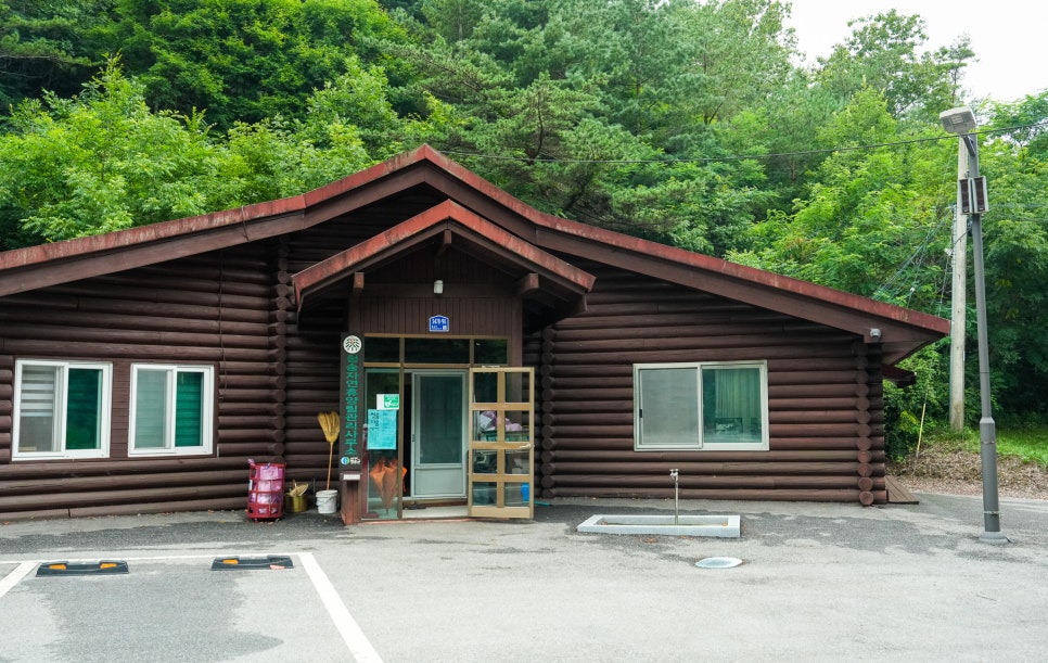 청송자연휴양림 사진 4