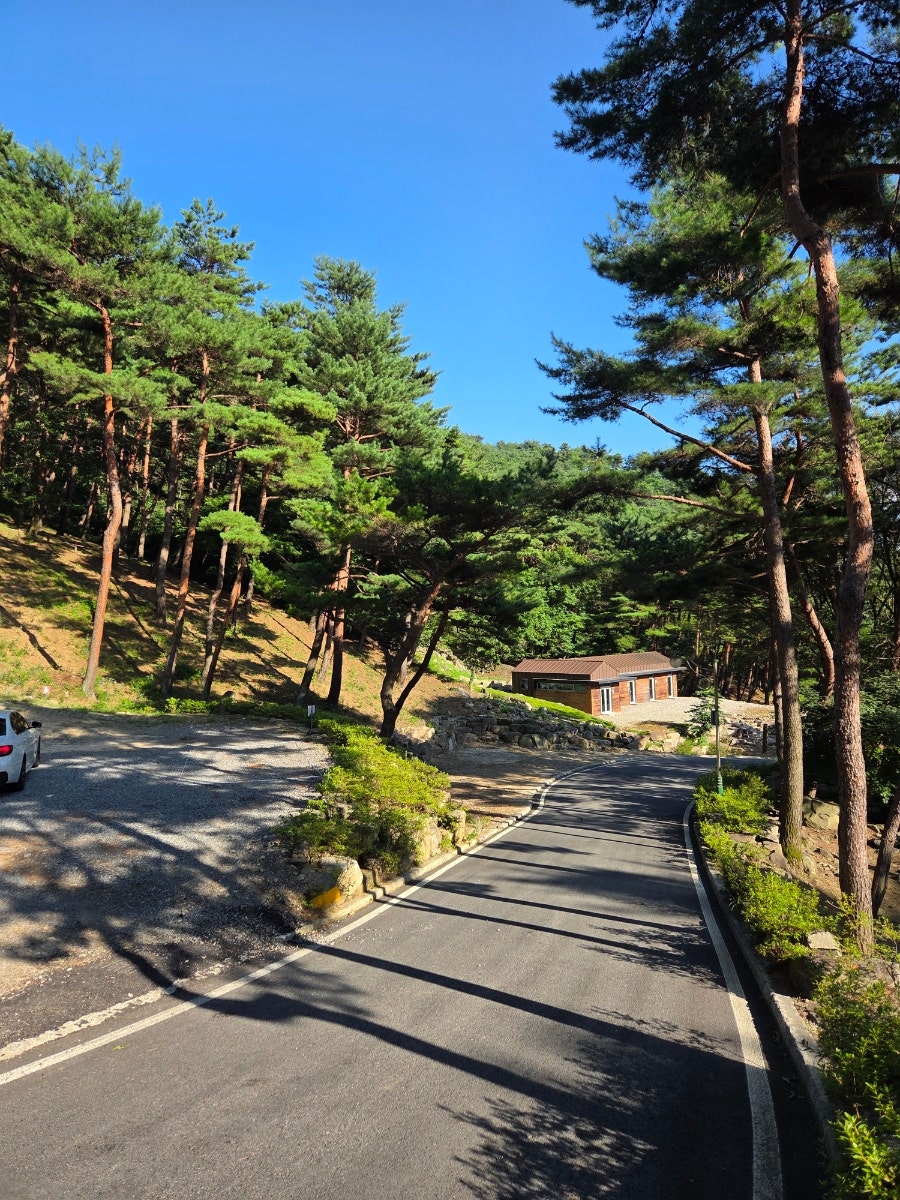 대봉산자연휴양림 사진 2