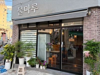 창원 마산 합성동횟집 물마루 /창원횟집  / 마산역맛집
