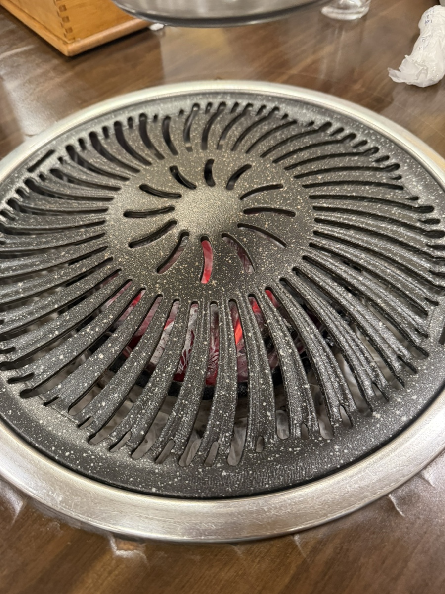 낙동생오리 사진 6