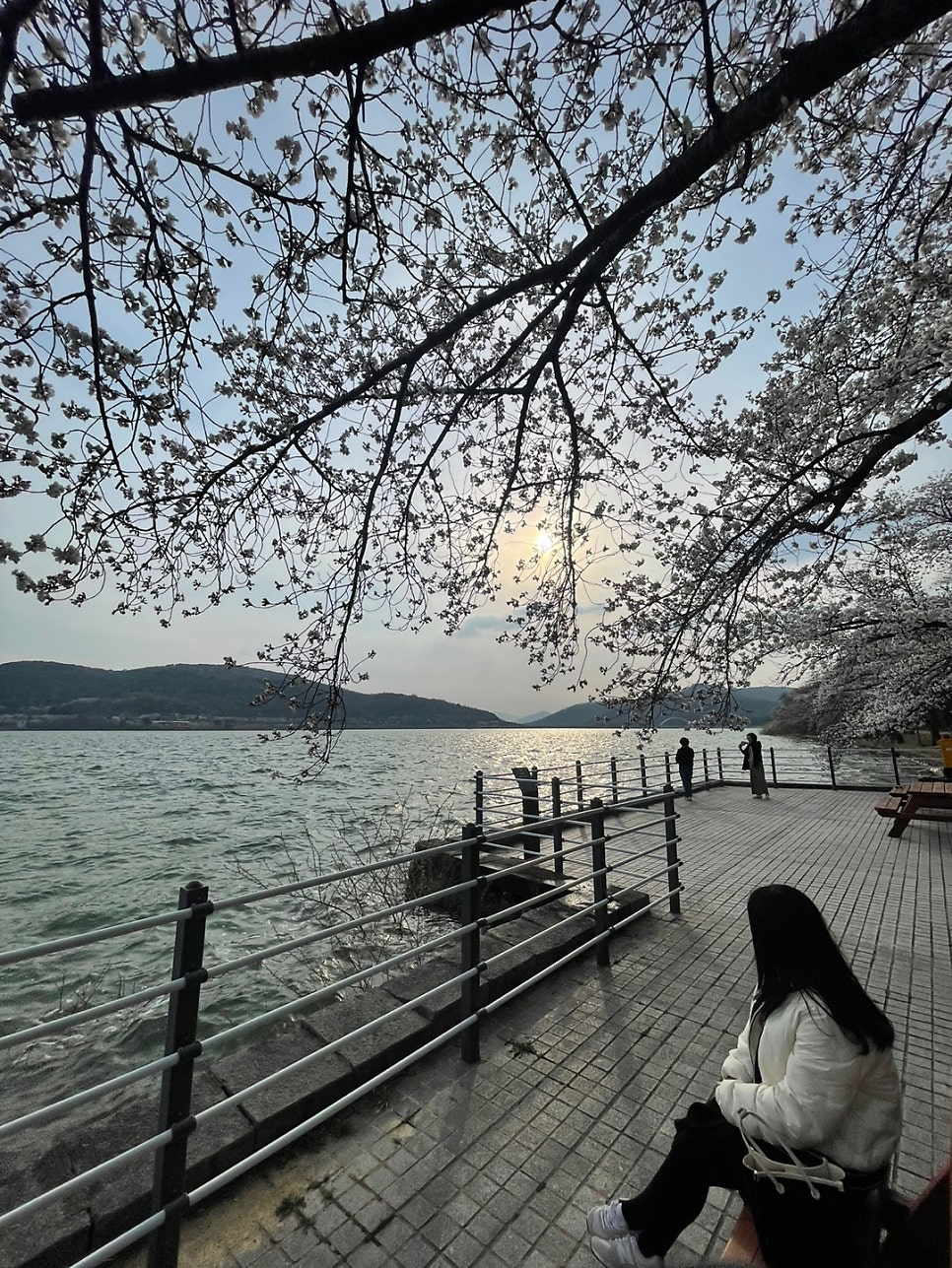 용명횟집 사진 4