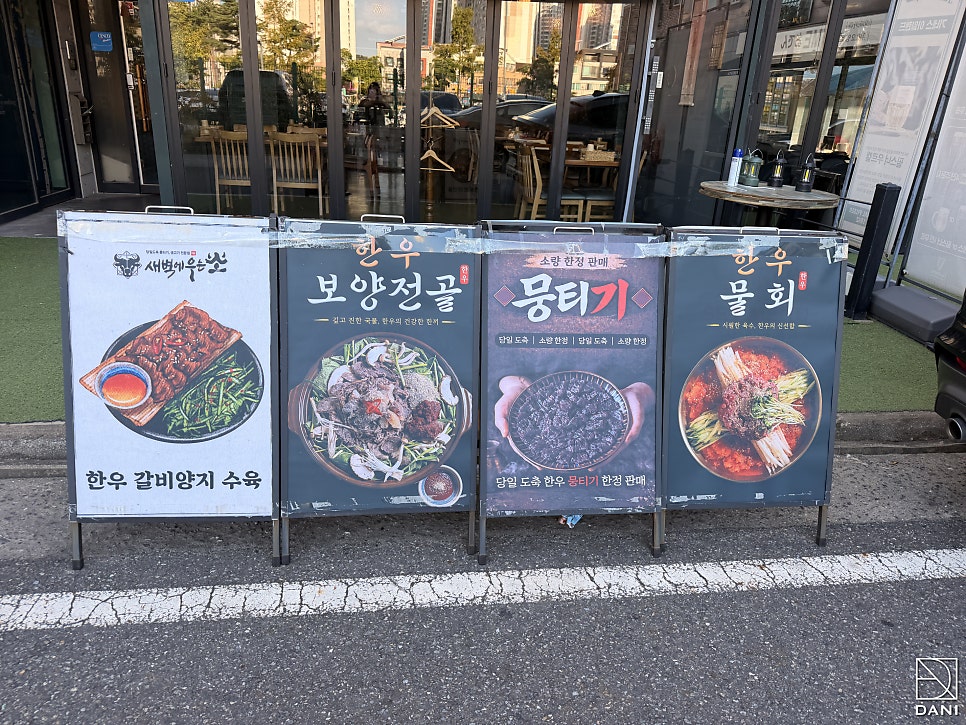 새벽에우는소 사진 6