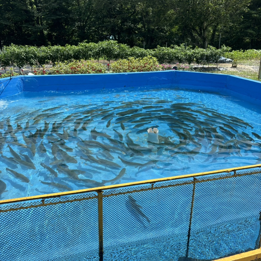 갈기산 사진 5