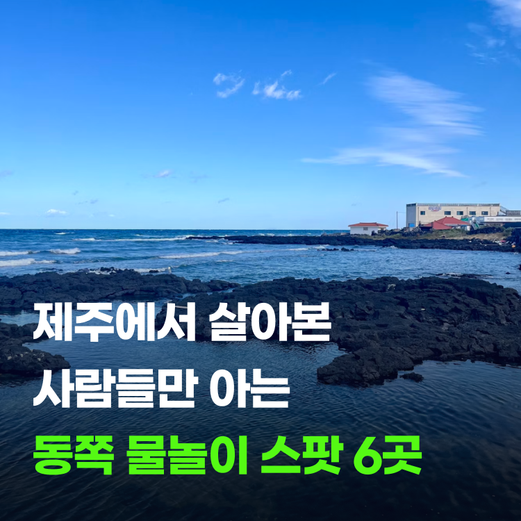 제주 동쪽 물놀이 스팟 6곳 함덕 포함 샤워장 주차 정리