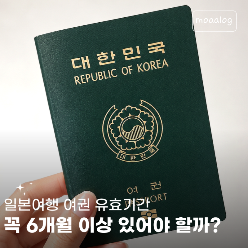 일본 여권 유효기간 6개월 필요할까? 일본 여행 전 꼭 확인하세요