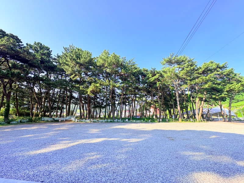 남해 송정솔바람해변 캠핑장, 비를 기다리며 하루를 더 머문 우리