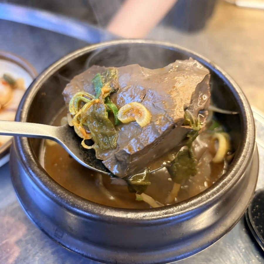 황소 사진 2