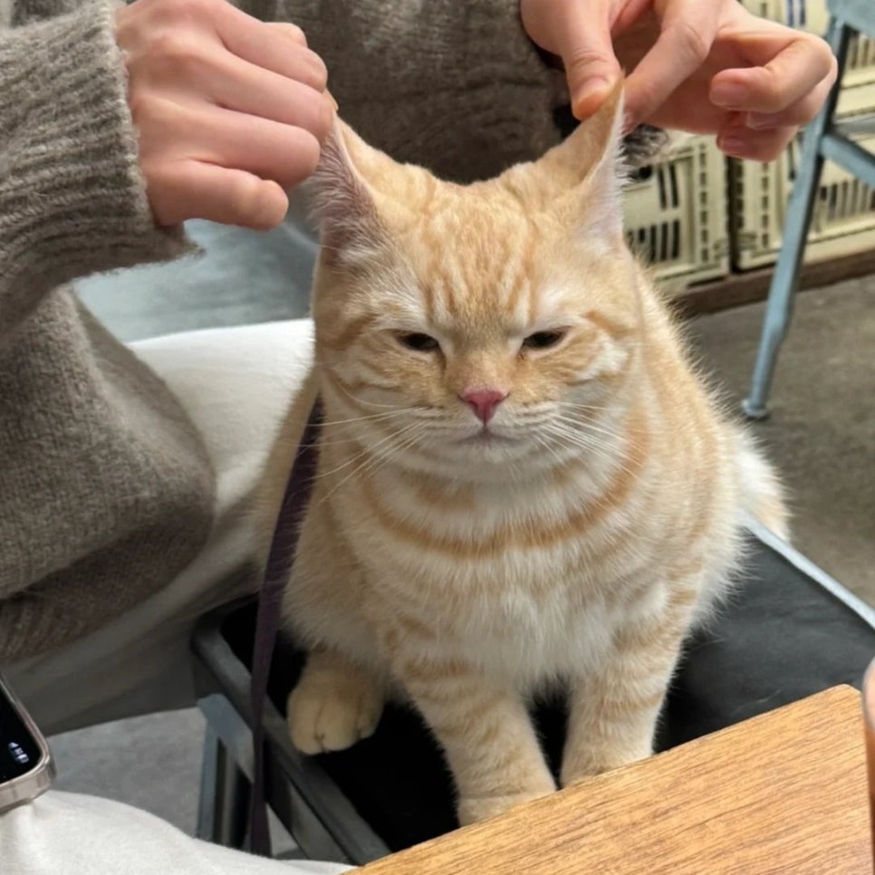 로로네베이커리 사진 3