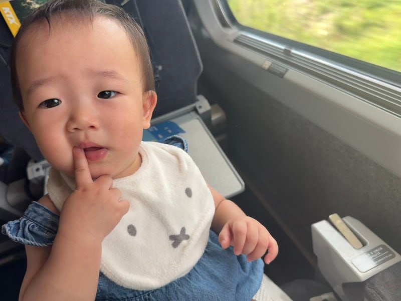 부산여행 10개월 아기랑 맛집 1일차 (쏘카 정짓간 라라쥬동물원 이재모피자 )